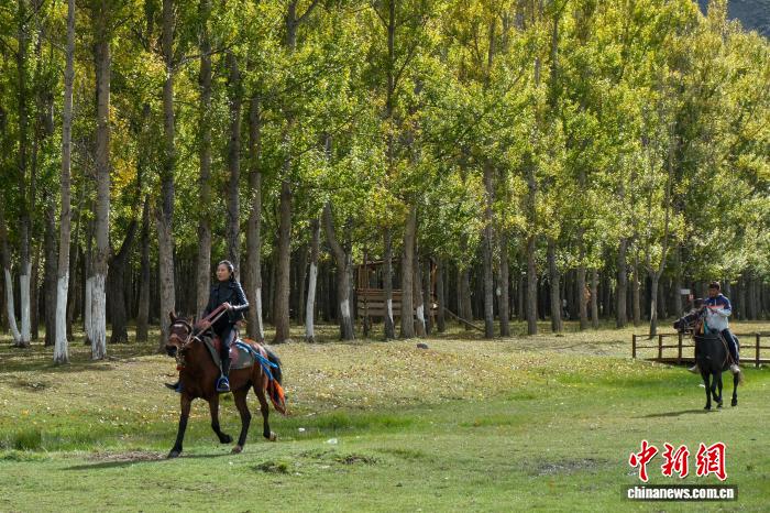 滩到“打卡地” 神秘树林带火乡村经济pg