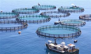 行业资讯_中研普华行业研究网pg电子免费模拟器游戏中研网(图11)